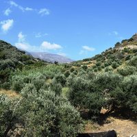 Отель (гостиница) в Греции, 450 кв.м.