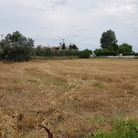 Land plot in Greece
