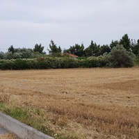 Land plot in Greece