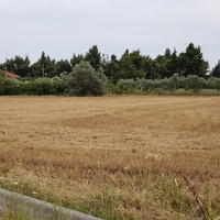 Land plot in Greece