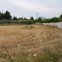 Land plot in Greece