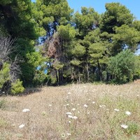 Land plot in Greece