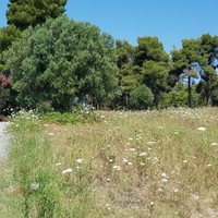 Land plot in Greece
