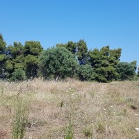 Land plot in Greece