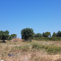 Land plot in Greece