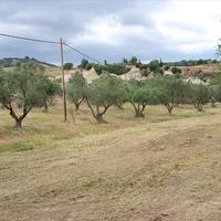 Land plot in Greece