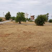 Land plot in Greece