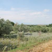 Land plot in Greece