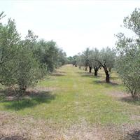 Land plot in Greece