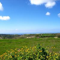 Вилла на Кипре, 260 кв.м.