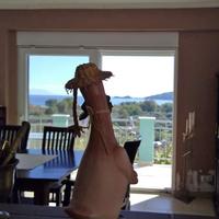 Другое в Греции, 270 кв.м.