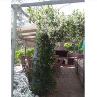 Другое в Греции, 270 кв.м.