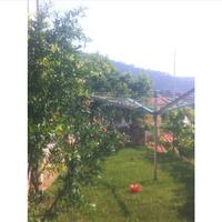 Другое в Греции, 270 кв.м.