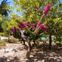 Таунхаус в Греции, 119 кв.м.