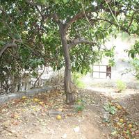 Другое в Греции, 70 кв.м.