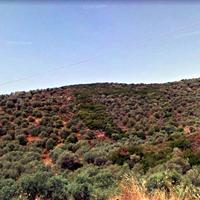 Land plot in Greece
