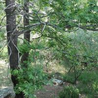 Вилла в Греции, 250 кв.м.