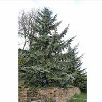 Вилла в Греции, 240 кв.м.