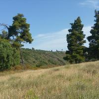 Земельный участок в Греции, 4062 кв.м.