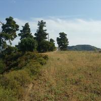 Земельный участок в Греции, 4062 кв.м.