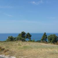 Земельный участок в Греции, 4062 кв.м.