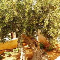 Flat in Greece, 102 sq.m.