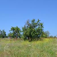 Земельный участок в Греции, 3419 кв.м.