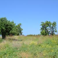 Земельный участок в Греции, 3419 кв.м.