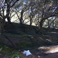 Земельный участок в Греции