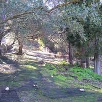 Земельный участок в Греции