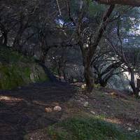 Земельный участок в Греции