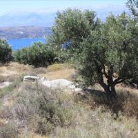 Земельный участок в Греции