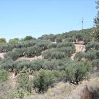 Земельный участок в Греции