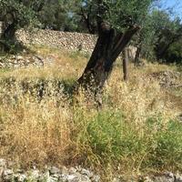 Земельный участок в Греции