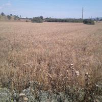 Land plot in Greece