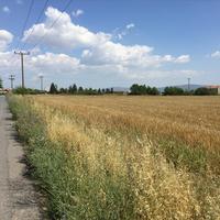 Land plot in Greece