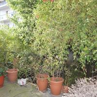 Другое в Греции, 160 кв.м.