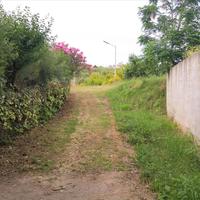 Other in Greece, 400 sq.m.