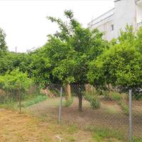 Other in Greece, 400 sq.m.