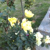 Вилла в Греции, 200 кв.м.