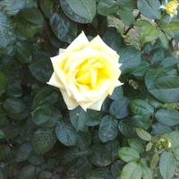 Вилла в Греции, 200 кв.м.