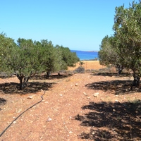 Земельный участок в Греции