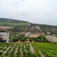 Other in Greece, 144 sq.m.