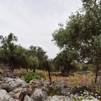 Земельный участок в Греции