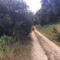 Земельный участок в Греции