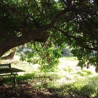 Other in Greece, 101 sq.m.