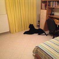 Townhouse in Greece, 345 sq.m.