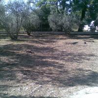 Other in Greece, 75 sq.m.