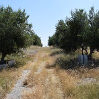 Land plot in Greece