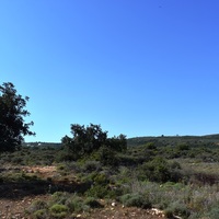 Land plot in Greece